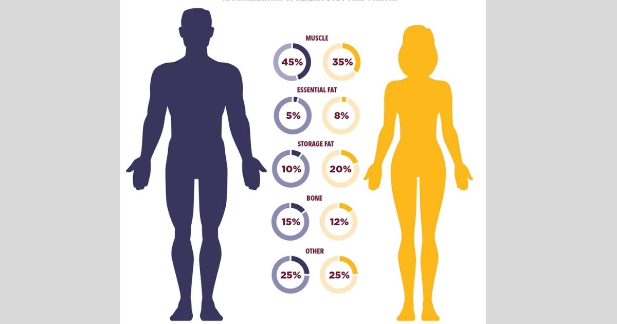 Types of Fat in the Body